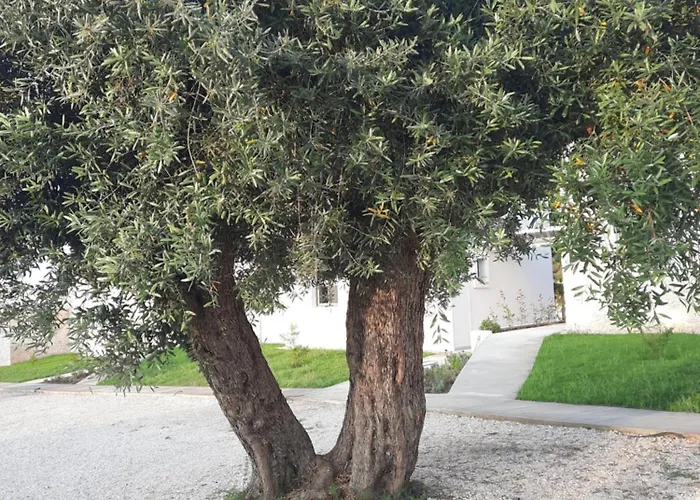 Astrum Luxury 4* Vourvourou