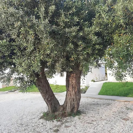 Astrum Luxury 4* Βουρβουρού